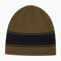 Winter hat Oakley Tnp Reversible Beanie 68S army green 2