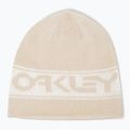 Winter hat Oakley TNP Reversible mist