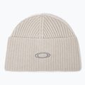 Winter hat Oakley Ellipse Ribbed Beanie mist/cement