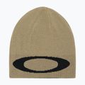 Winter hat Oakley Ellipse Beanie pebble