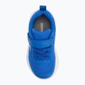 Geox Sprintye royal shoes 5