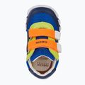 Geox Iupidoo royal / orange children's shoes 12