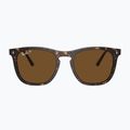 Sunglasses Ray-Ban RB2210 havana/brown polarized 2