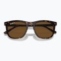 Sunglasses Ray-Ban RB2210 havana/brown polarized 3