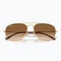 Sunglasses Ray-Ban Bain Bridge arista gold/clear brown 3