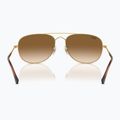 Sunglasses Ray-Ban Bain Bridge arista gold/clear brown 5