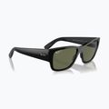 Sunglasses Ray-Ban Carlos black/green polarized