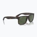 Sunglasses Ray-Ban Justin Classic havana/dark green polarized