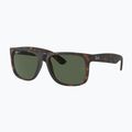 Sunglasses Ray-Ban Justin Classic havana/dark green polarized 4