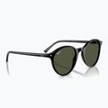 Sunglasses Ray-Ban Bernard black/green g-15