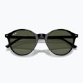 Sunglasses Ray-Ban Bernard black/green g-15 3
