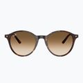 Sunglasses Ray-Ban Bernard havana/brown gradient 2