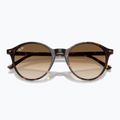 Sunglasses Ray-Ban Bernard havana/brown gradient 3