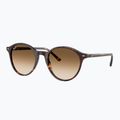 Sunglasses Ray-Ban Bernard havana/brown gradient 4