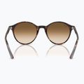 Sunglasses Ray-Ban Bernard havana/brown gradient 5