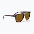 Sunglasses Ray-Ban RB2213 havana/brown b-15