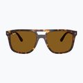 Sunglasses Ray-Ban RB2213 havana/brown b-15 2