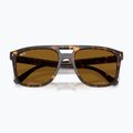 Sunglasses Ray-Ban RB2213 havana/brown b-15 3