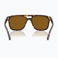 Sunglasses Ray-Ban RB2213 havana/brown b-15 5