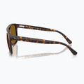 Sunglasses Ray-Ban RB2213 havana/brown b-15 6