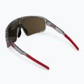 Sunglasses Bliz P003 transparent dark grey/brown red multi 2