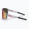 Sunglasses Bliz P003 transparent dark grey/brown red multi 3