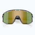 Sunglasses Bliz Fusion transparent white/brown green multi 3
