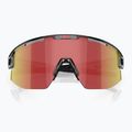 Sunglasses Bliz Matrix transparent dark grey/brown red multi 3
