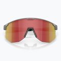 Sunglasses Bliz Hero transparent dark grey/brown red multi 3