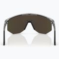 Sunglasses Bliz Hero transparent dark grey/brown red multi 5