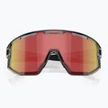 Sunglasses Bliz Vision transparent dark grey/brown red multi 3