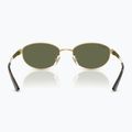 Sunglasses Ray-Ban RB3774D arista gold/dark green polarized 5