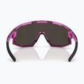 Sunglasses Bliz Fusion Small transparent pink/brown rose multi 4