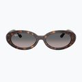 Sunglasses Ray-Ban RB2223 havana/gradient grey 2