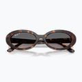 Sunglasses Ray-Ban RB2223 havana/gradient grey 3