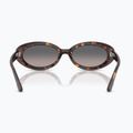 Sunglasses Ray-Ban RB2223 havana/gradient grey 5