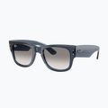 Sunglasses Ray-Ban Mega Wayfarer black/green 4