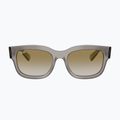 Sunglasses Ray-Ban RB2228M Scuderia transparent grey/brown mirror gold 2