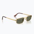 Sunglasses Ray-Ban RB3927 By A$Ap Rocky