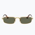 Sunglasses Ray-Ban RB3927 By A$Ap Rocky 2