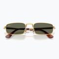 Sunglasses Ray-Ban RB3927 By A$Ap Rocky 3