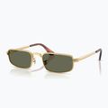Sunglasses Ray-Ban RB3927 By A$Ap Rocky 4