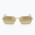 Sunglasses Ray-Ban RB3928 By A$Ap Rocky arista gold/brown gold 2