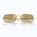 Sunglasses Ray-Ban RB3928 By A$Ap Rocky arista gold/brown gold 3