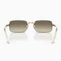 Sunglasses Ray-Ban RB3928 By A$Ap Rocky arista gold/brown gold 5