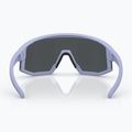 Sunglasses Bliz Fusion Small matte lavender/smoke iceblue multi 4