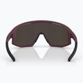 Sunglasses Bliz Fusion Small matte burgundy/brown rose multi 4