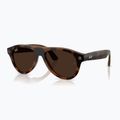 Glasses with a camera Ray-Ban Meta Aviator havana/trs brown 8