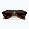 Glasses with a camera Ray-Ban Meta Aviator havana/trs brown 9