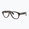 Glasses with a camera Ray-Ban Meta Aviator transp. umber/trs jade